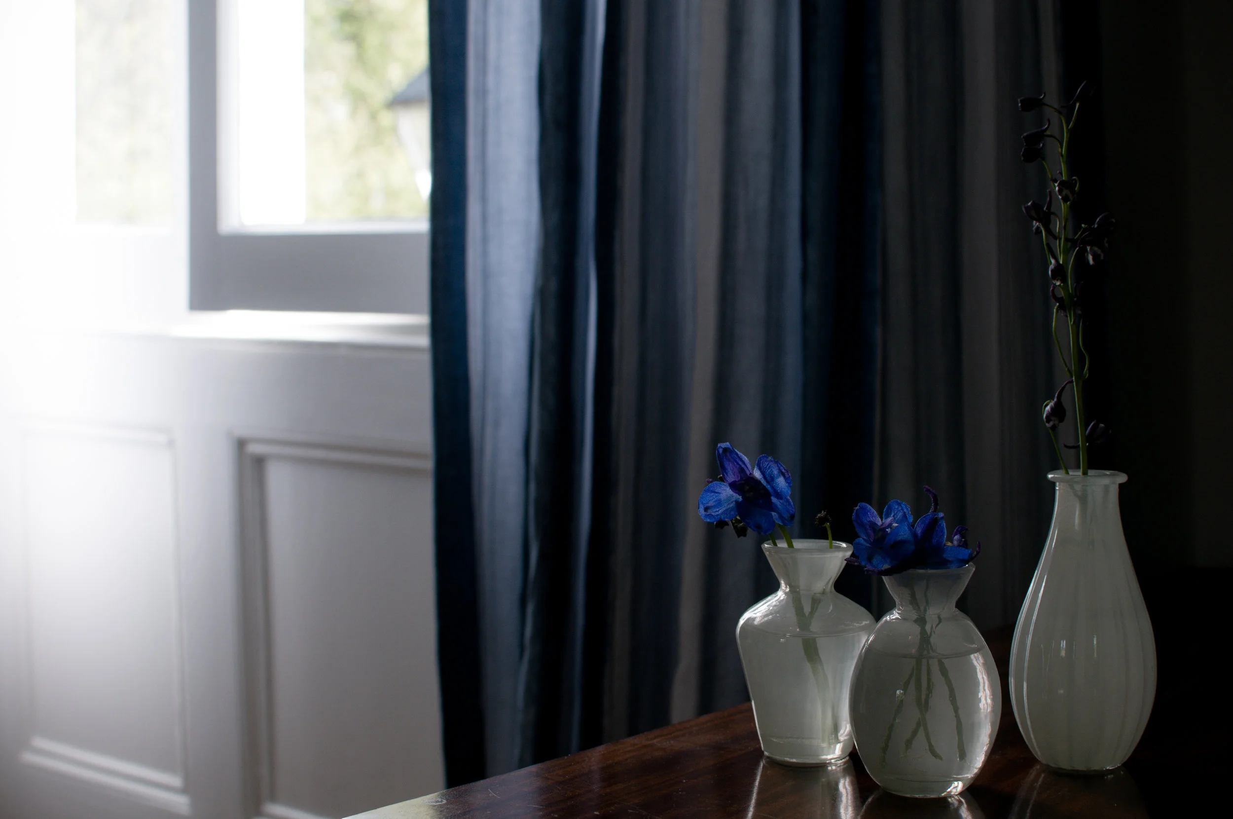 Living curtains close-up - Lonsdale.jpg