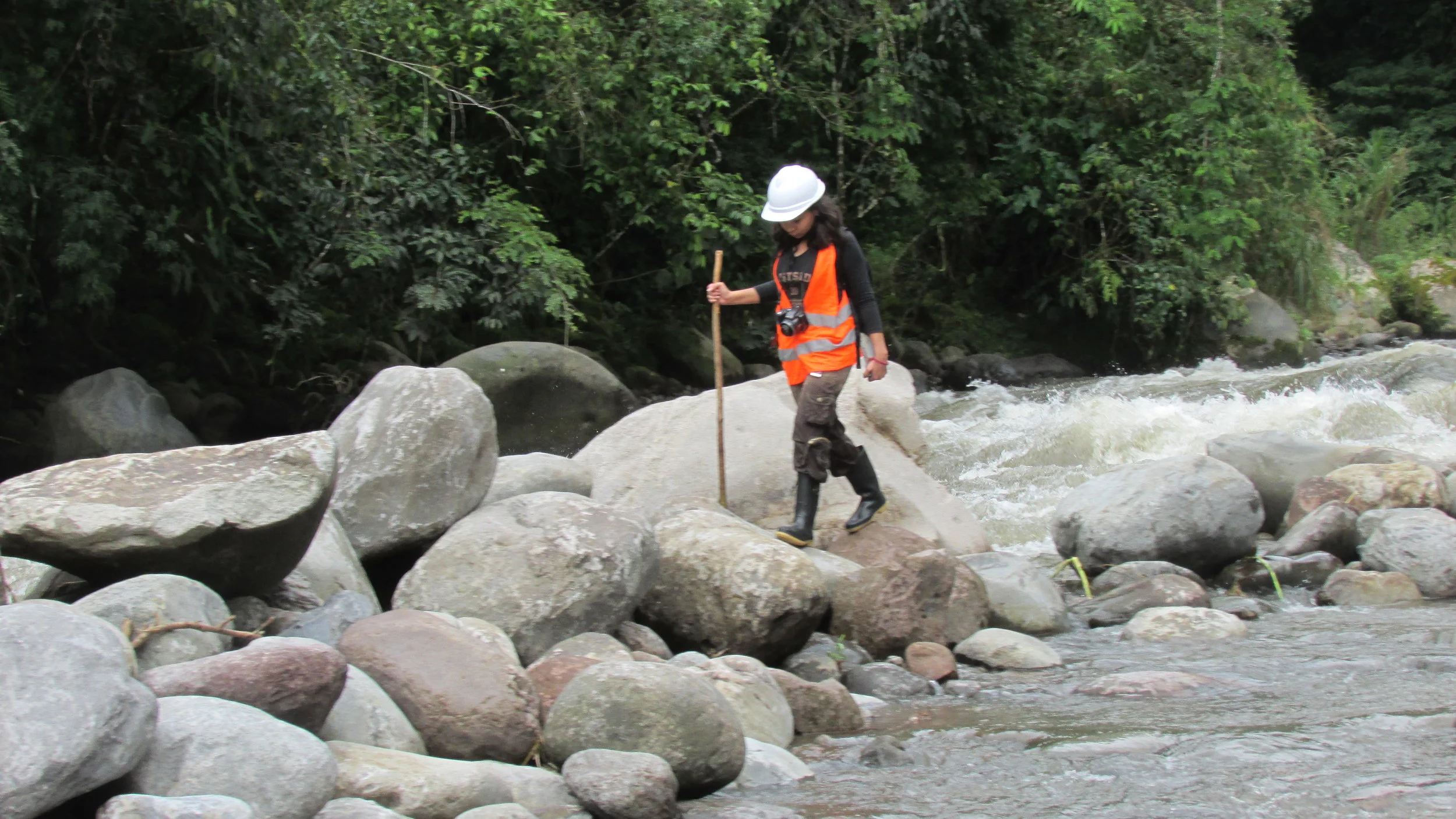 inspecciondeproyecto.jpg