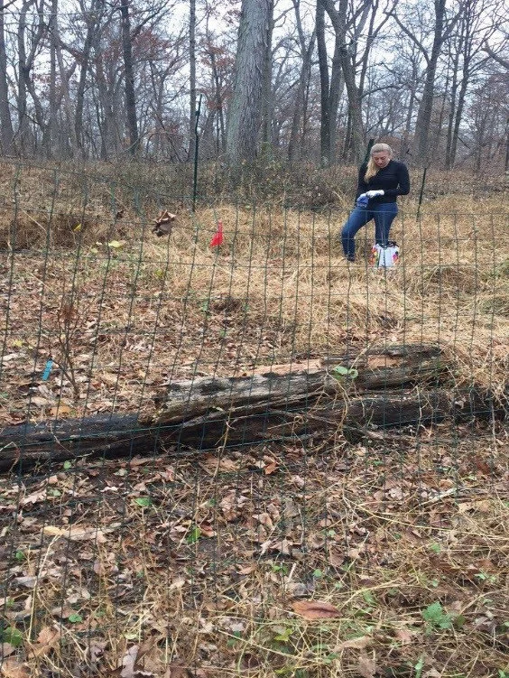 Kali in experimental plots.jpg