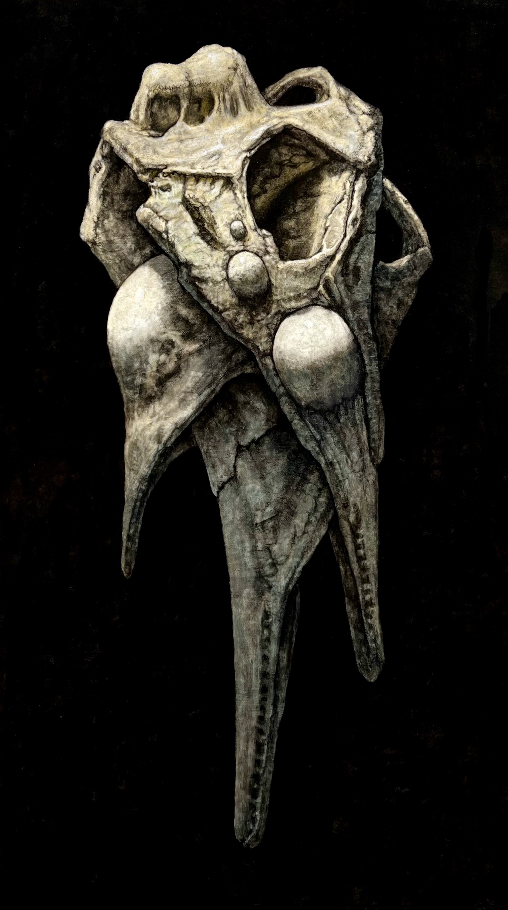 Cetovub booklet.jpeg