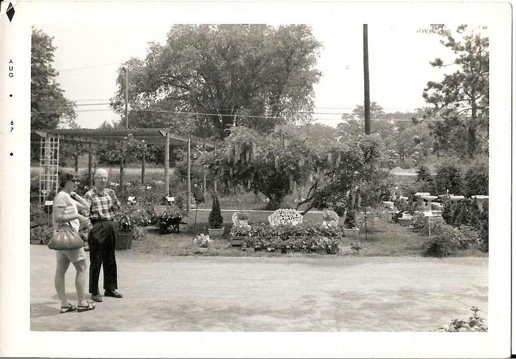 scan0010.jpg