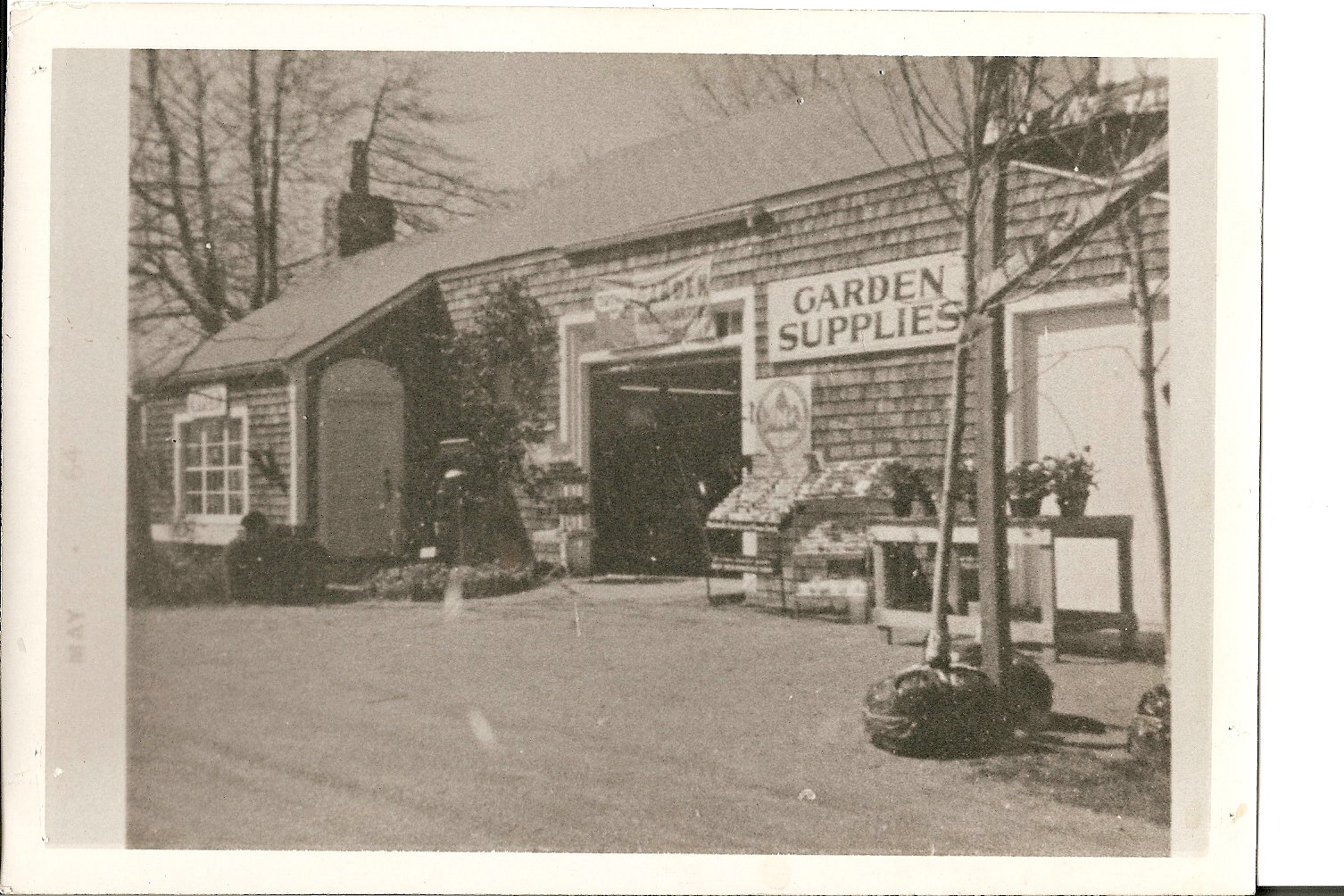 scan0010.jpg