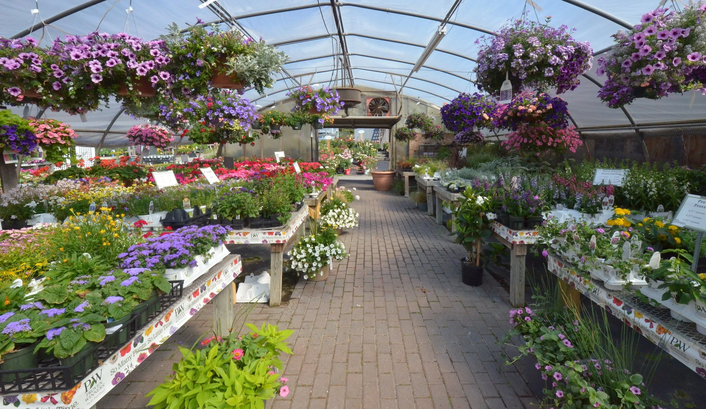 Our Greenhouses
