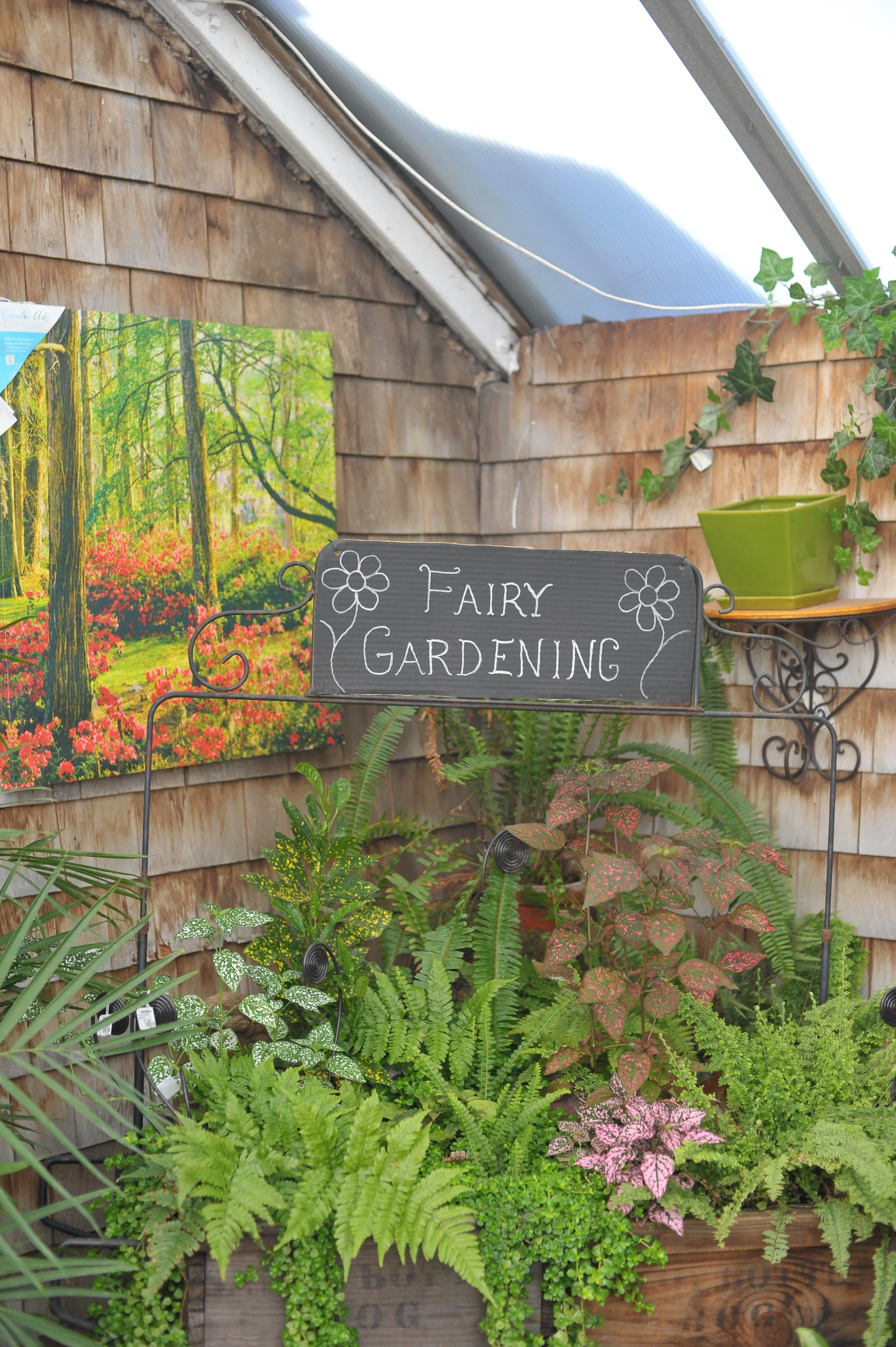 Fairy & Miniature Gardens