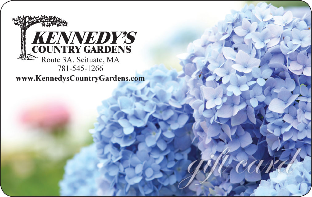 KennedysGC2018-1.jpg