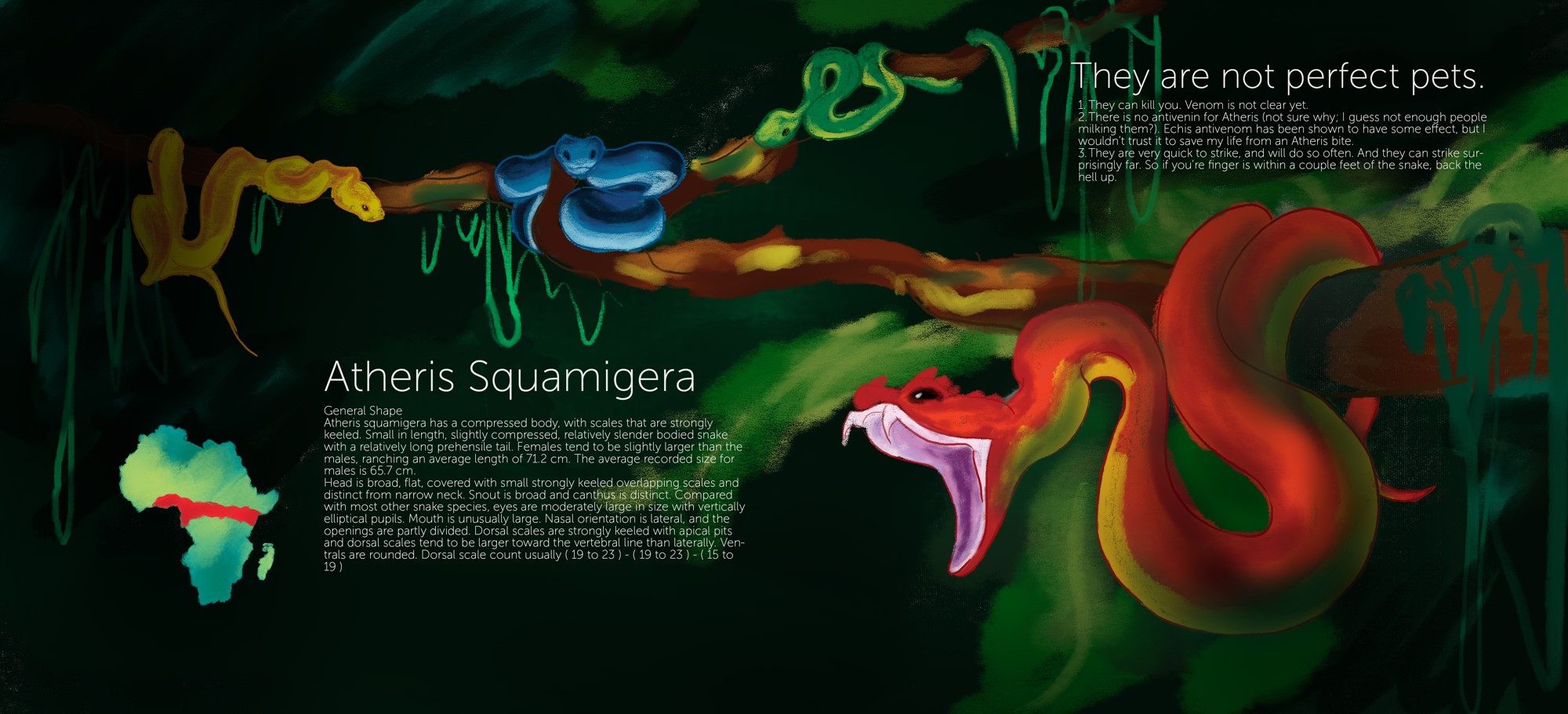 Sketch and Color comps (Copy)