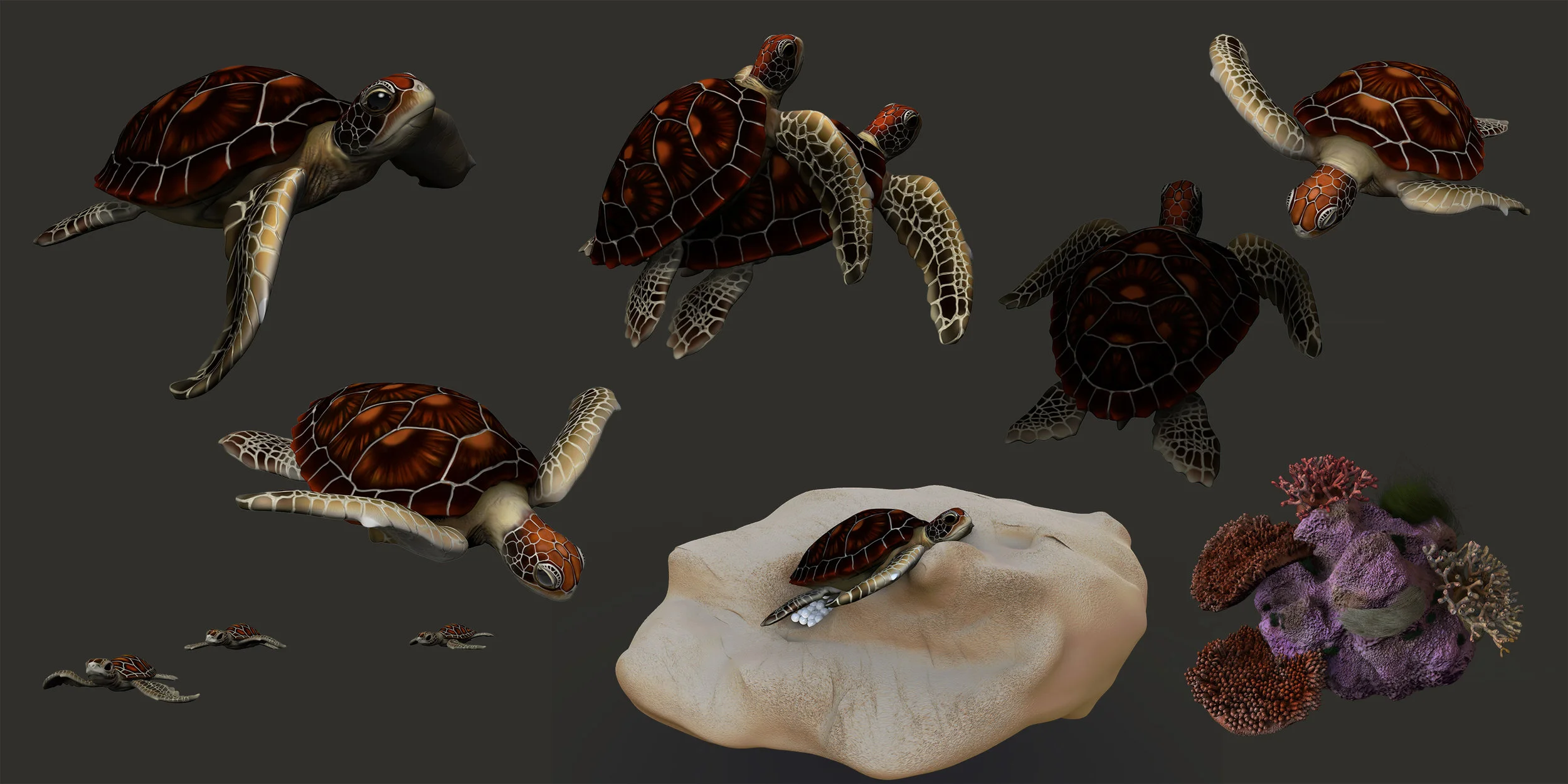  All the models used in the final illustration 