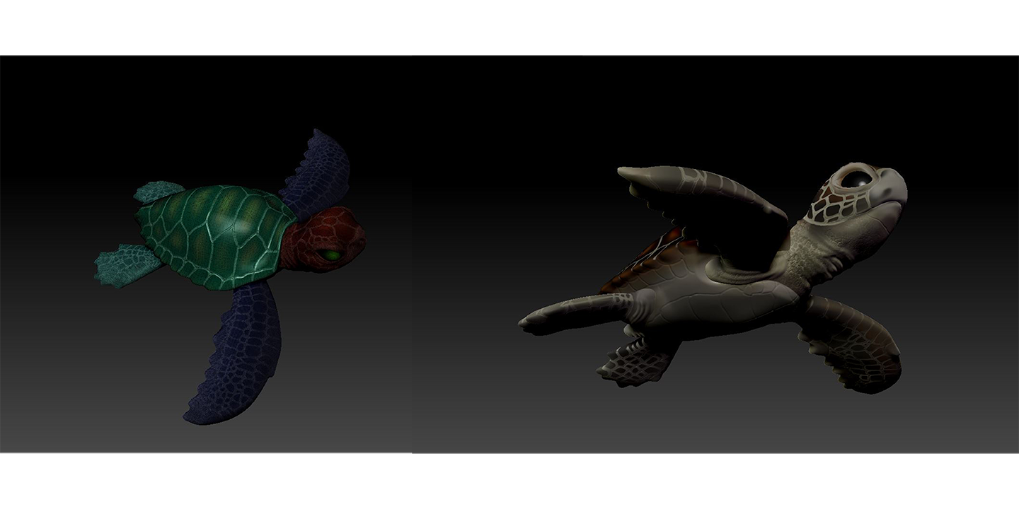  Model: Baby seaturtle&nbsp; 