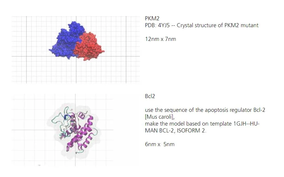  Measures of the main models in VMD 