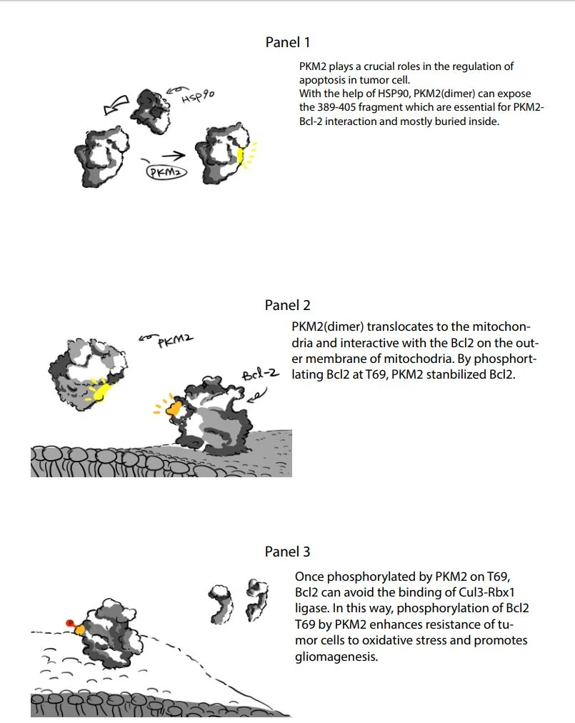  Storyboard of the process 