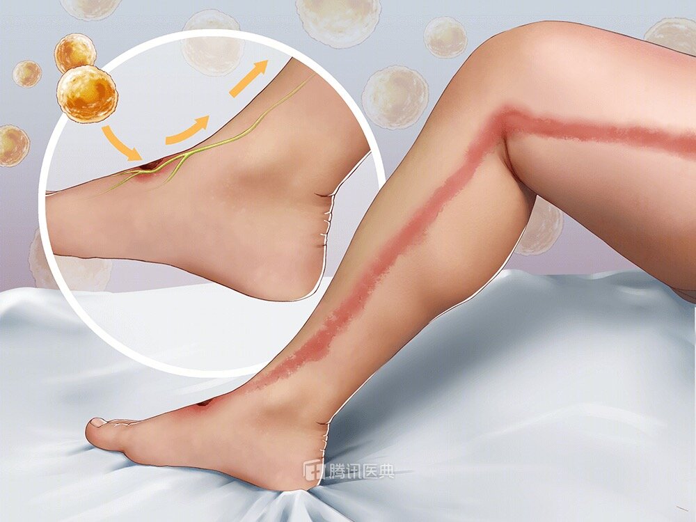 WeChat Image_20200309225222.jpg