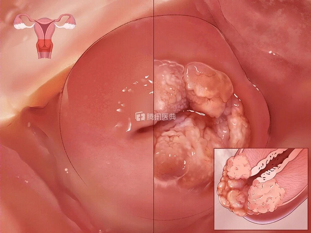 WeChat Image_20200309225257.jpg