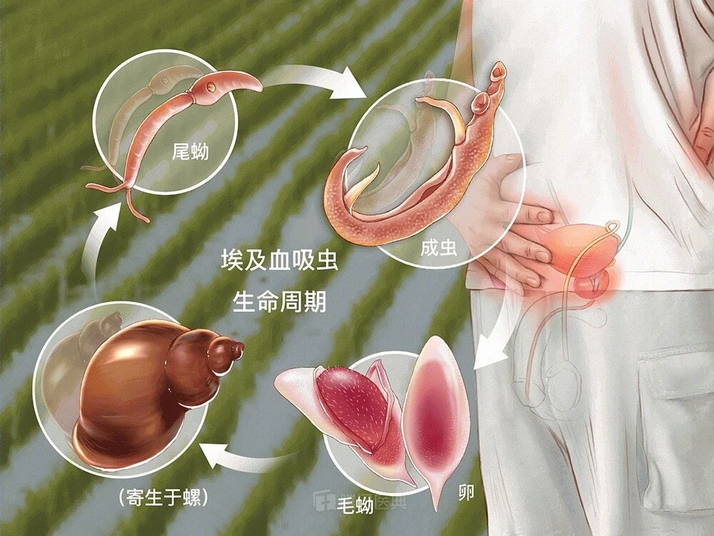 WeChat Image_20200309225303.jpg