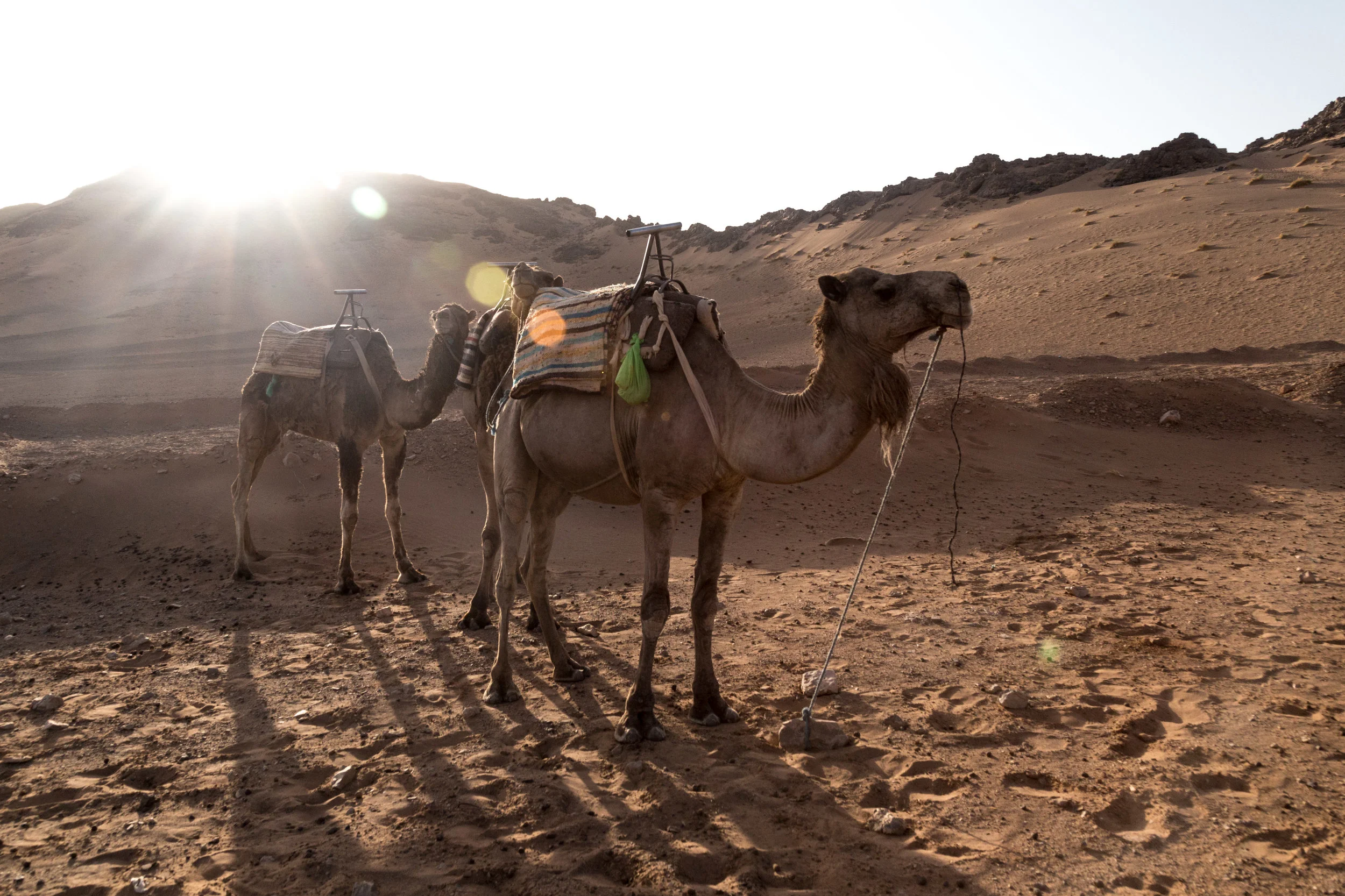 20170621_ebb_morocco_01_418.jpg