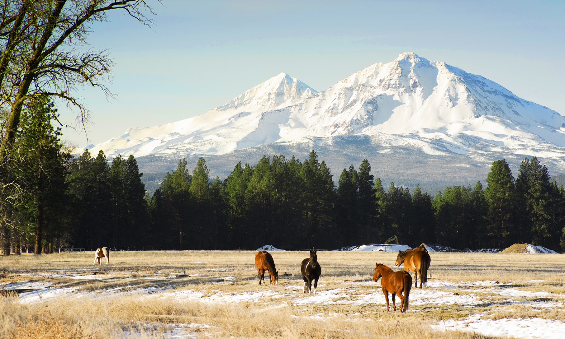 Born & Bred in Central Oregon