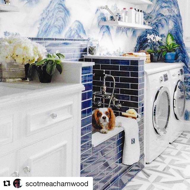 Amazing blue and white laundry room with a built in dog wash!  #blueandwhite #dogsfirst #dogsofinstgram #interior123 #interiorinspo #laundryroom #Repost @scotmeachamwood (@get_repost)
・・・
Easily one of my favourite showcase rooms right now - @dinaban
