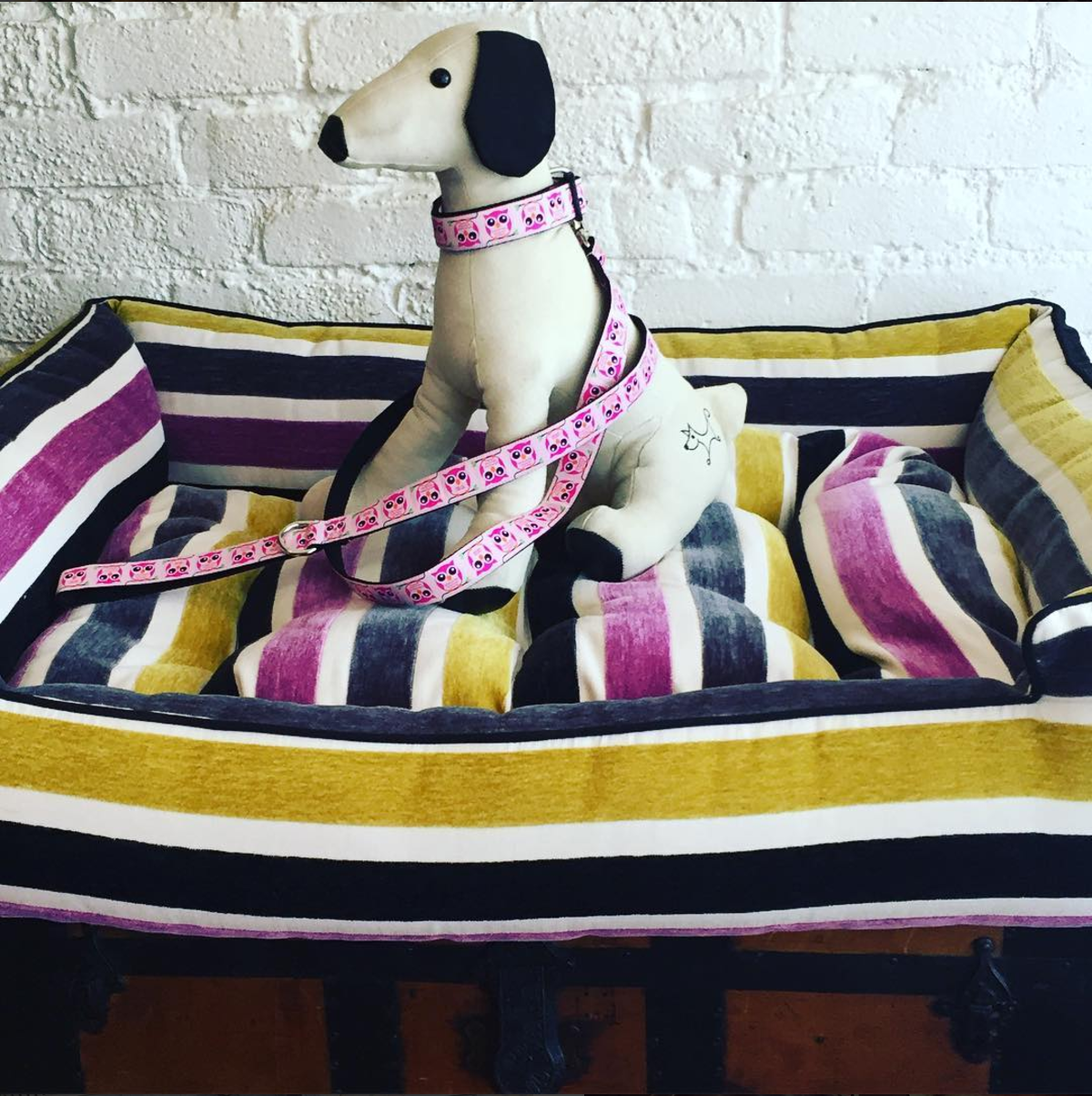 bed with collar.png