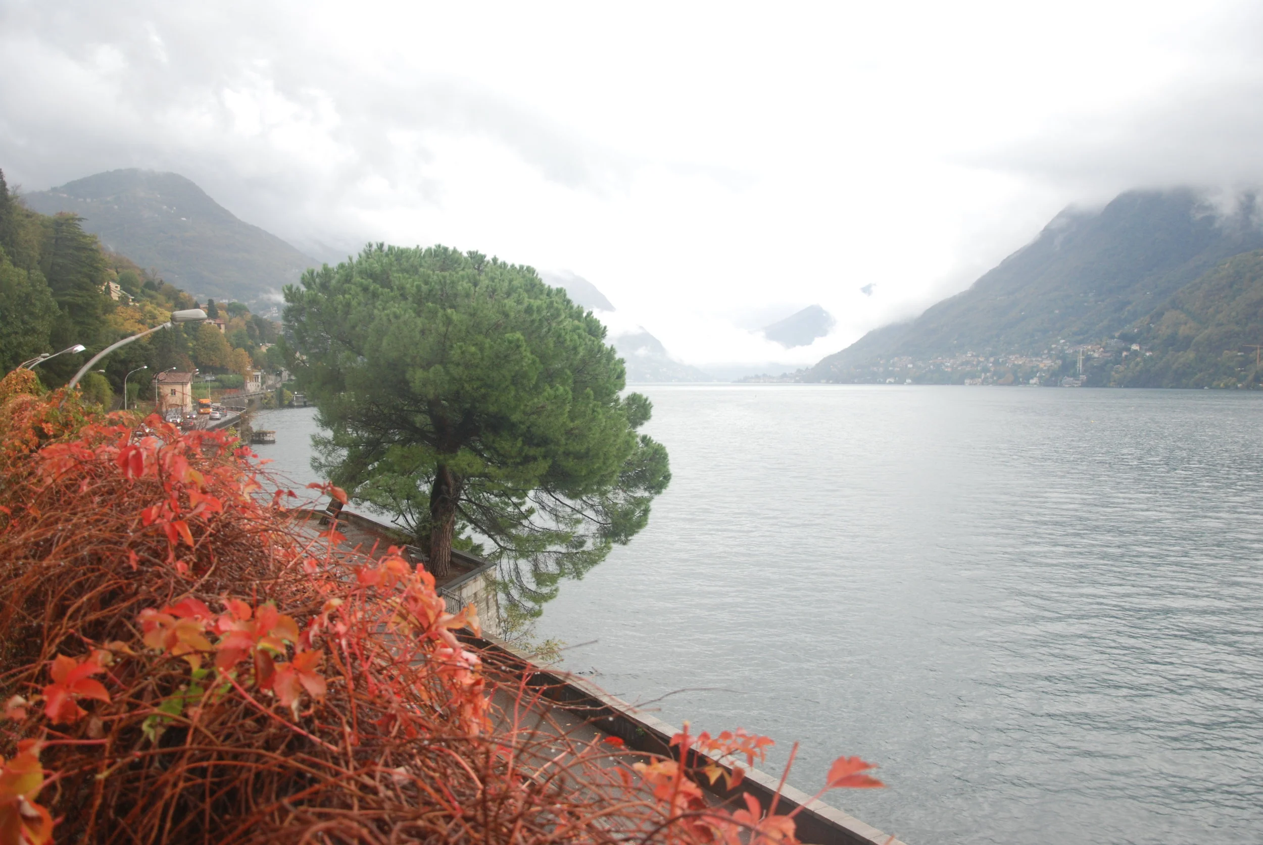 Copia di DSC_0005.JPG