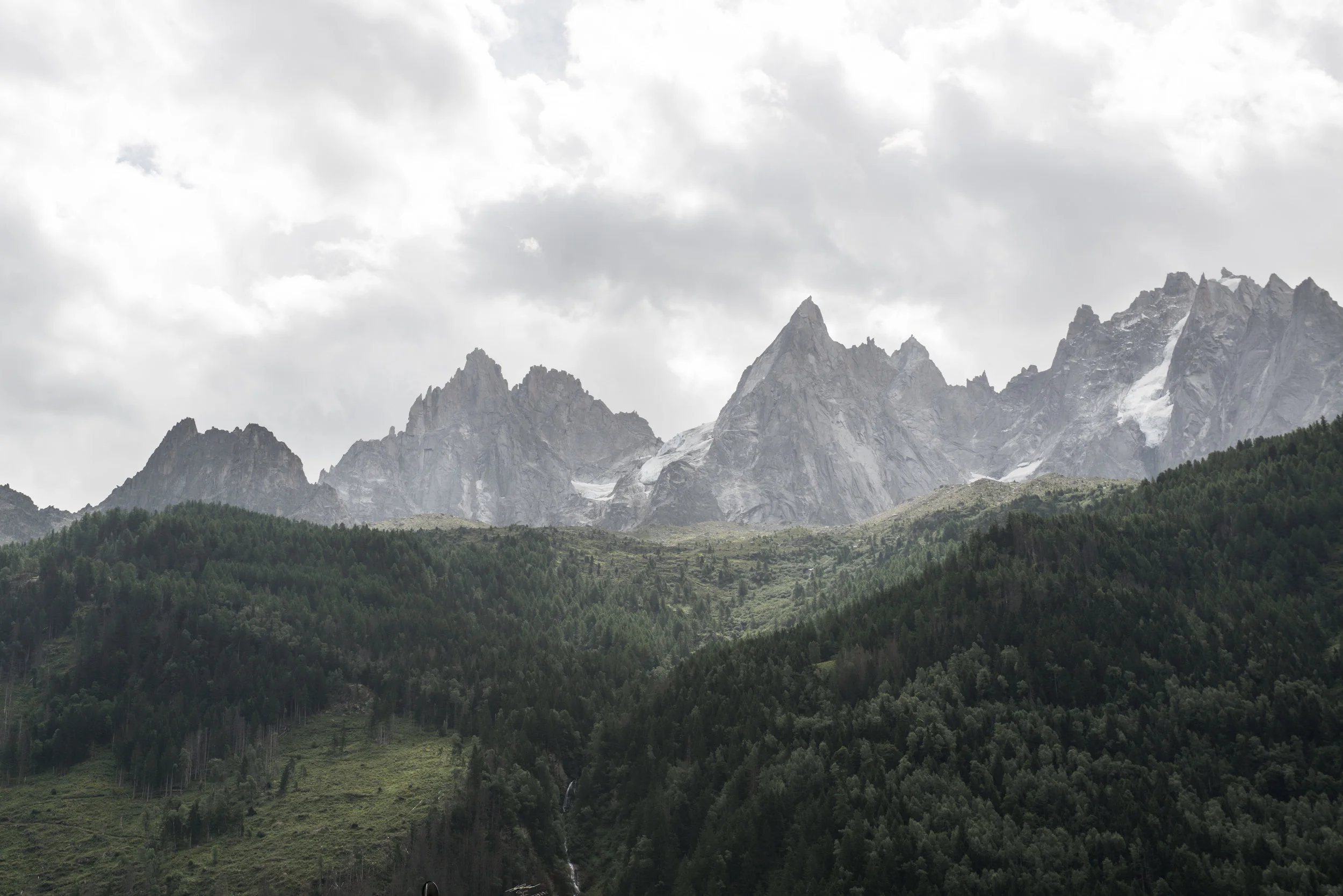 DSC_7312.jpg