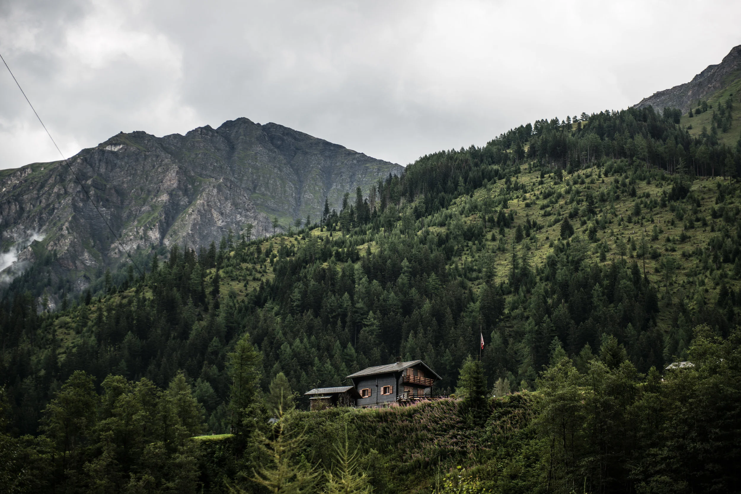 DSC_8269.jpg