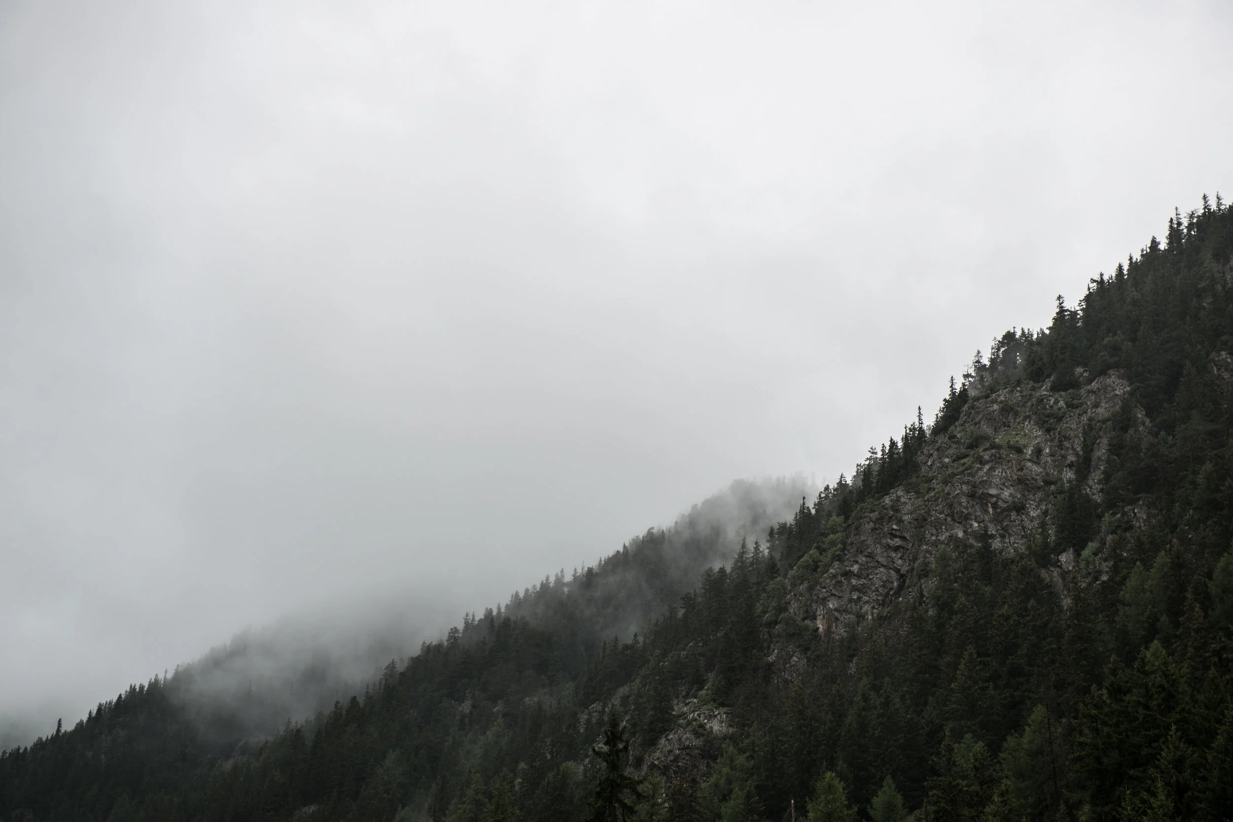 DSC_8292.jpg