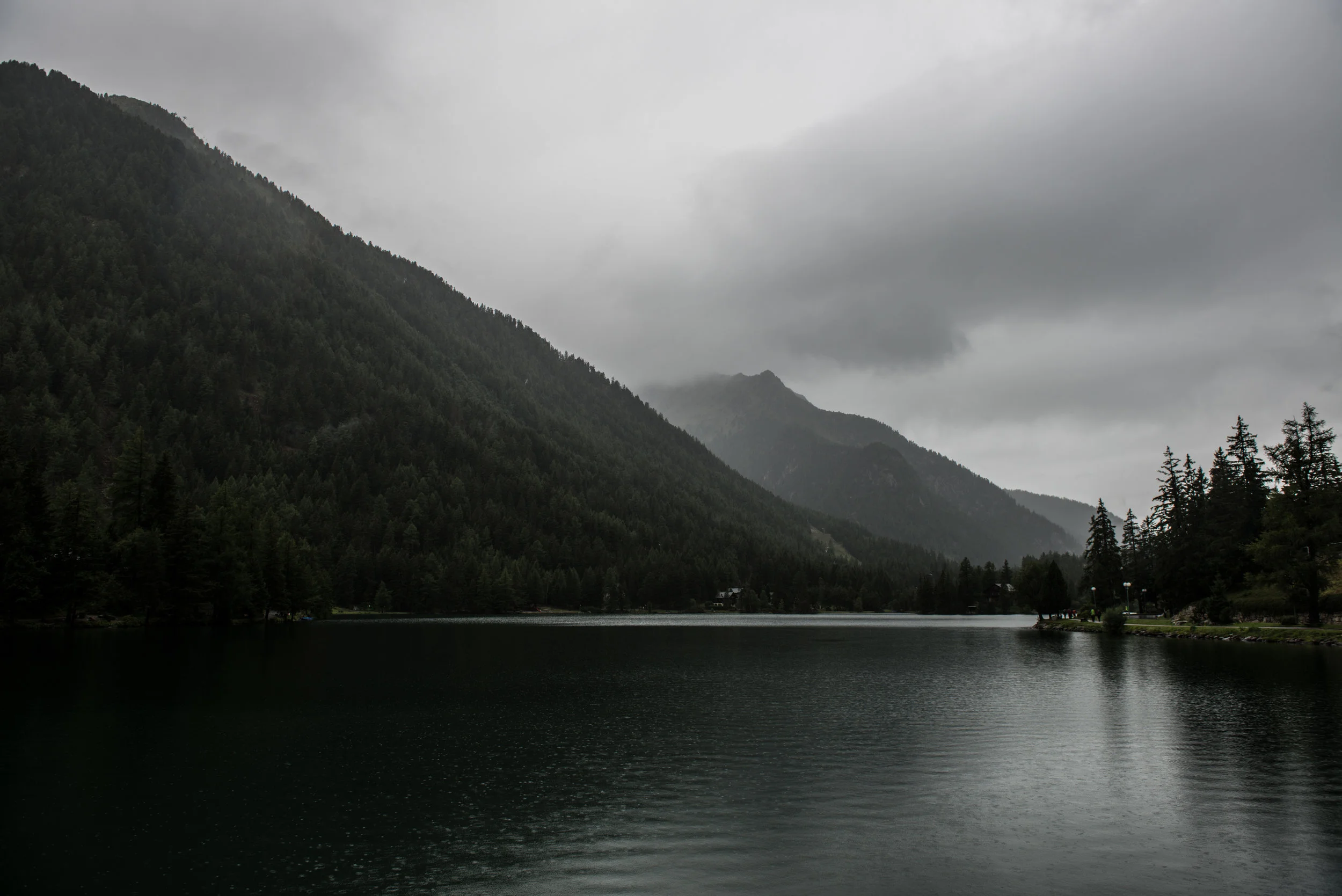 DSC_8295.jpg