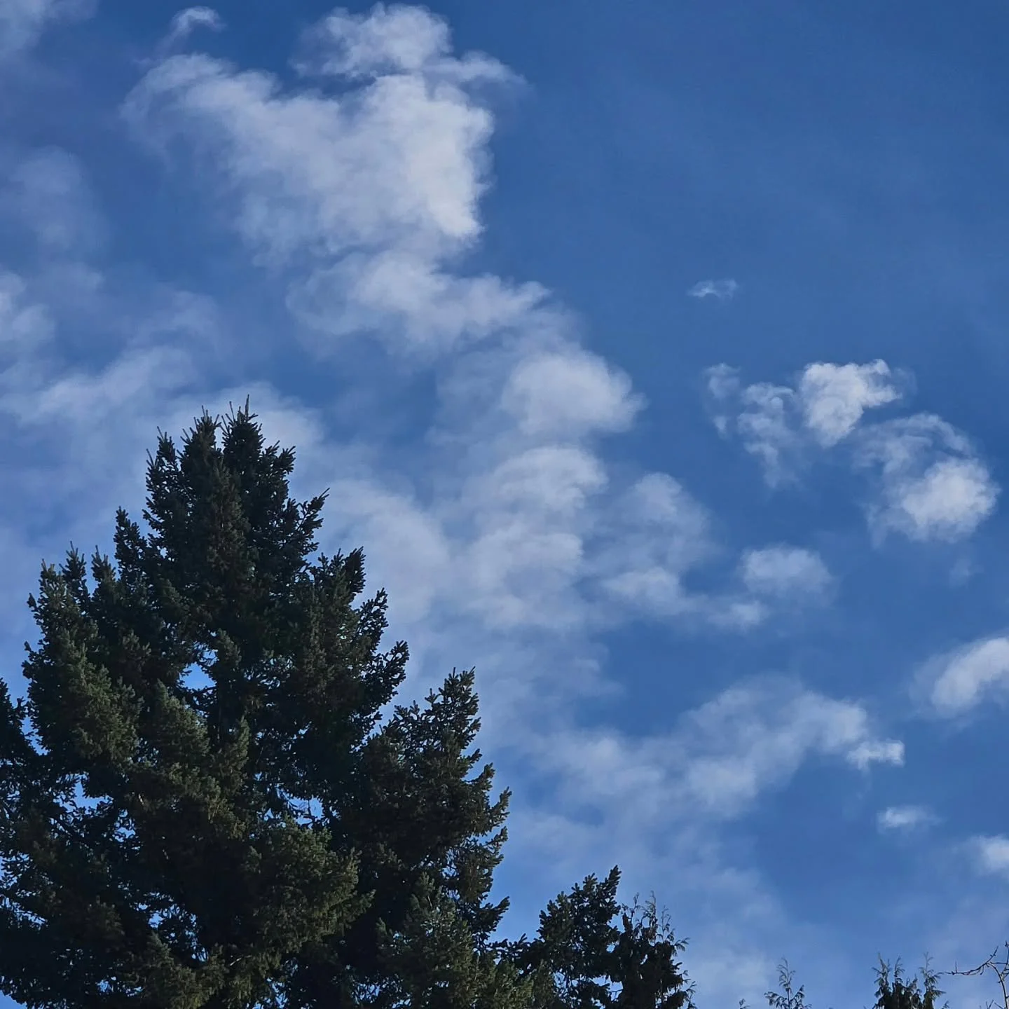 again and again ⚓️💞 #poetry