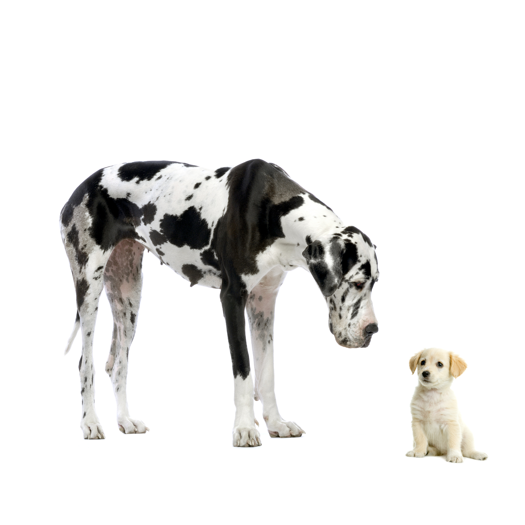 Photo by GlobalP/iStock / Getty Images