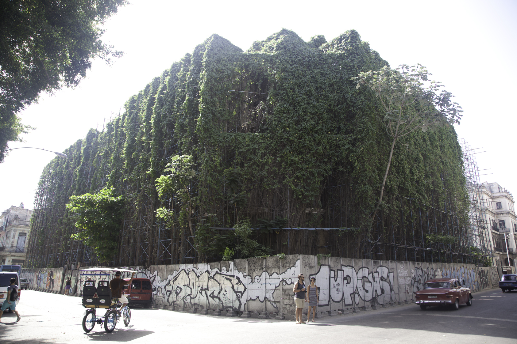 Overgrown Building