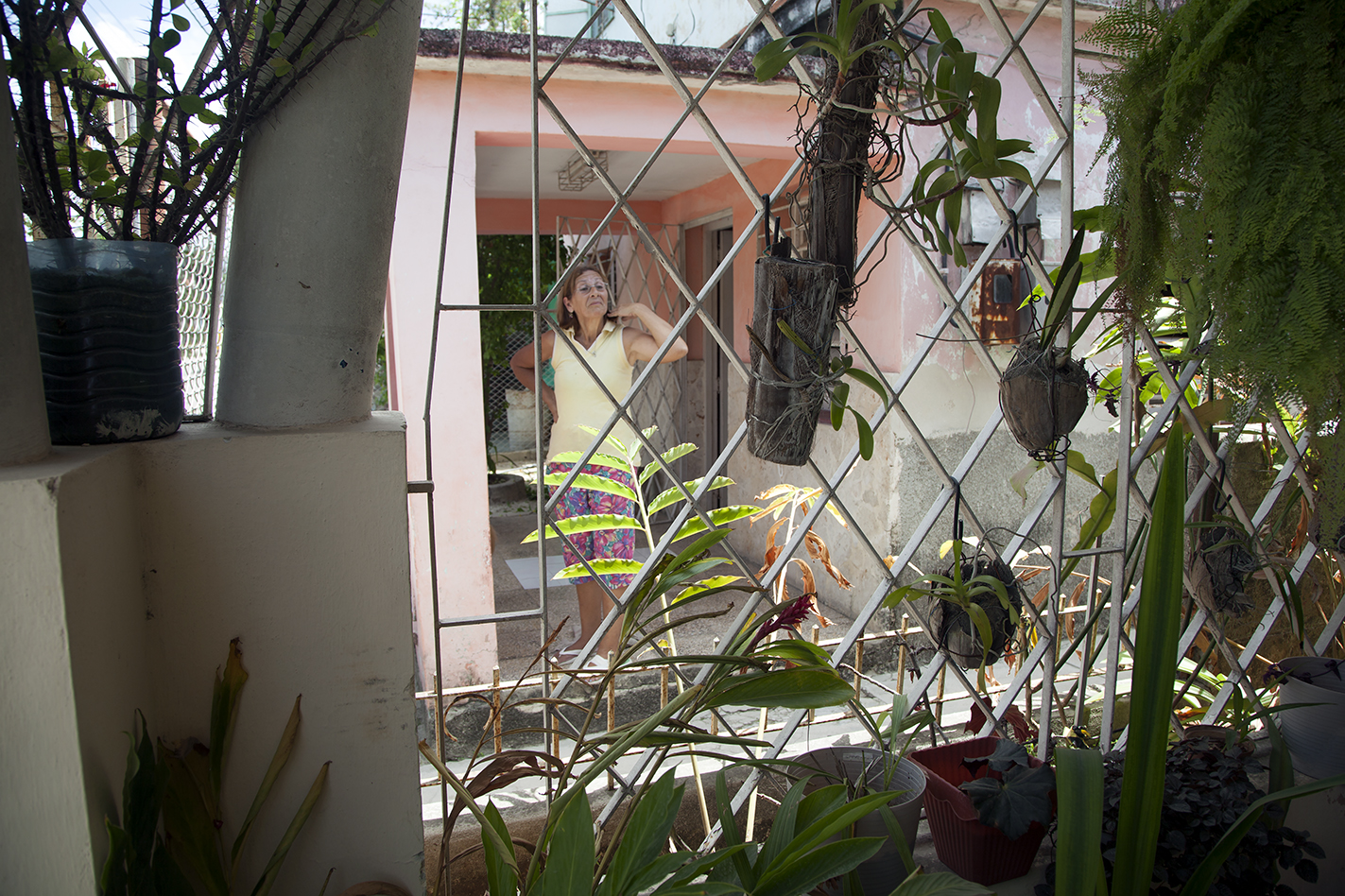 Neighbor Through the Gate