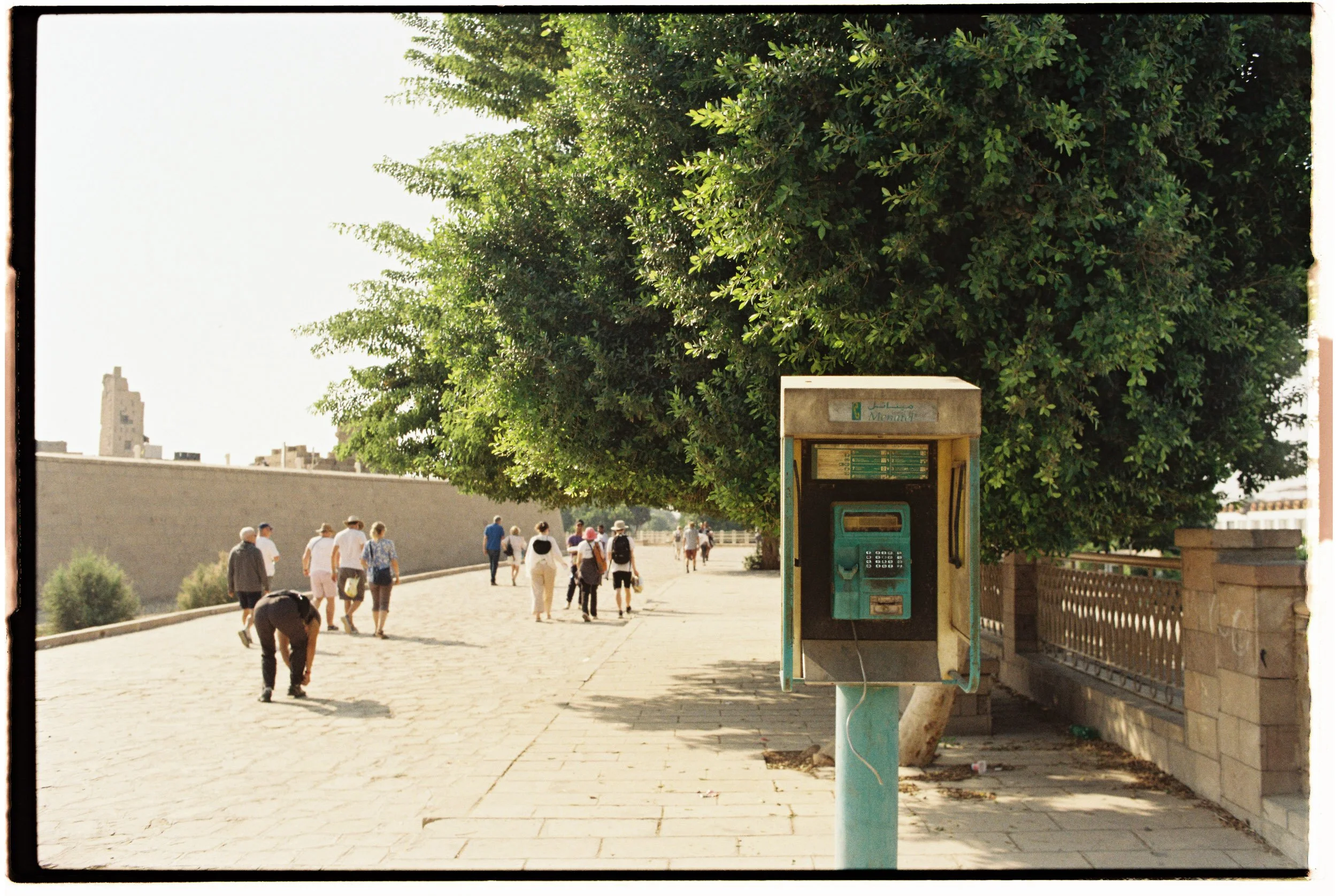 2022-Egypt-Web-80.jpg
