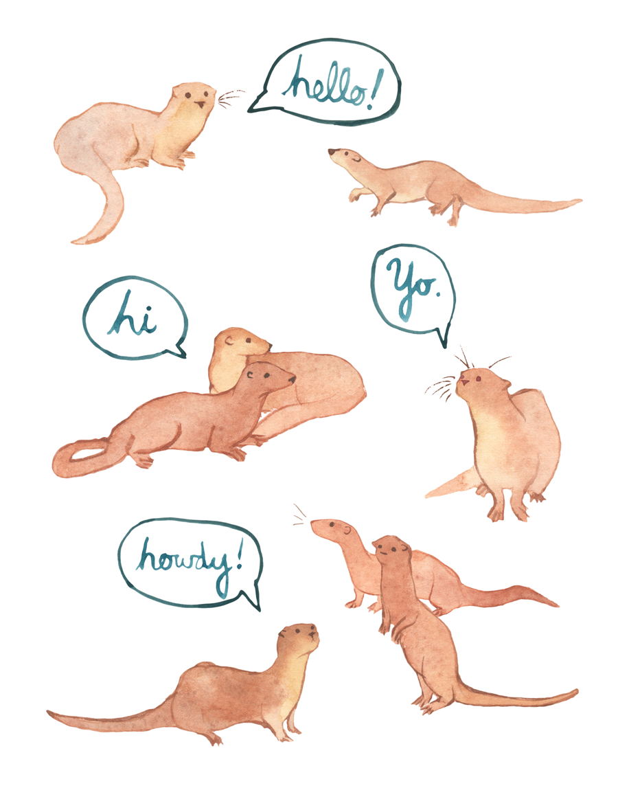 Otter-Card,-Etsy,-Pamela-Baron.png
