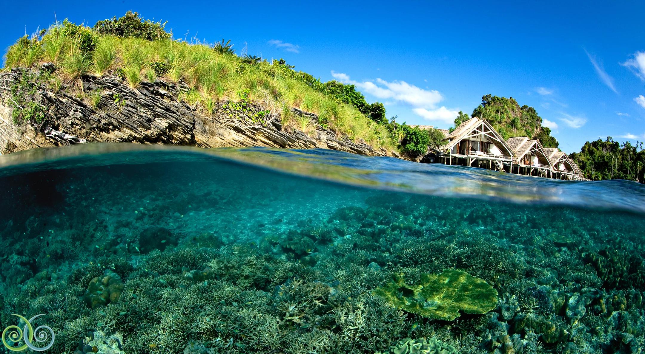 Misool.accommodation.1.jpg