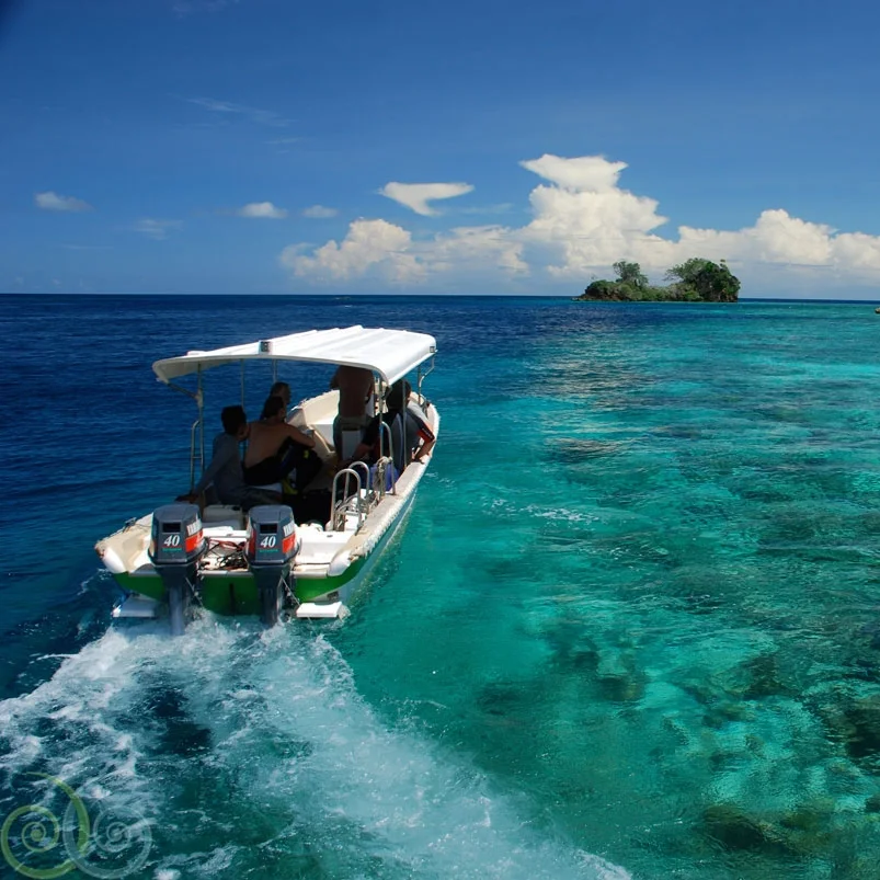 MER.diveboat.HR.jpg