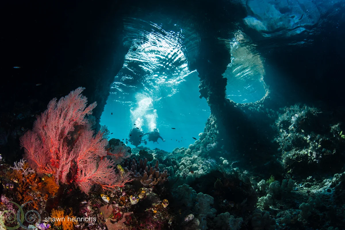 Misool.Boo.Windows.Shawn.Heinrichs.jpg