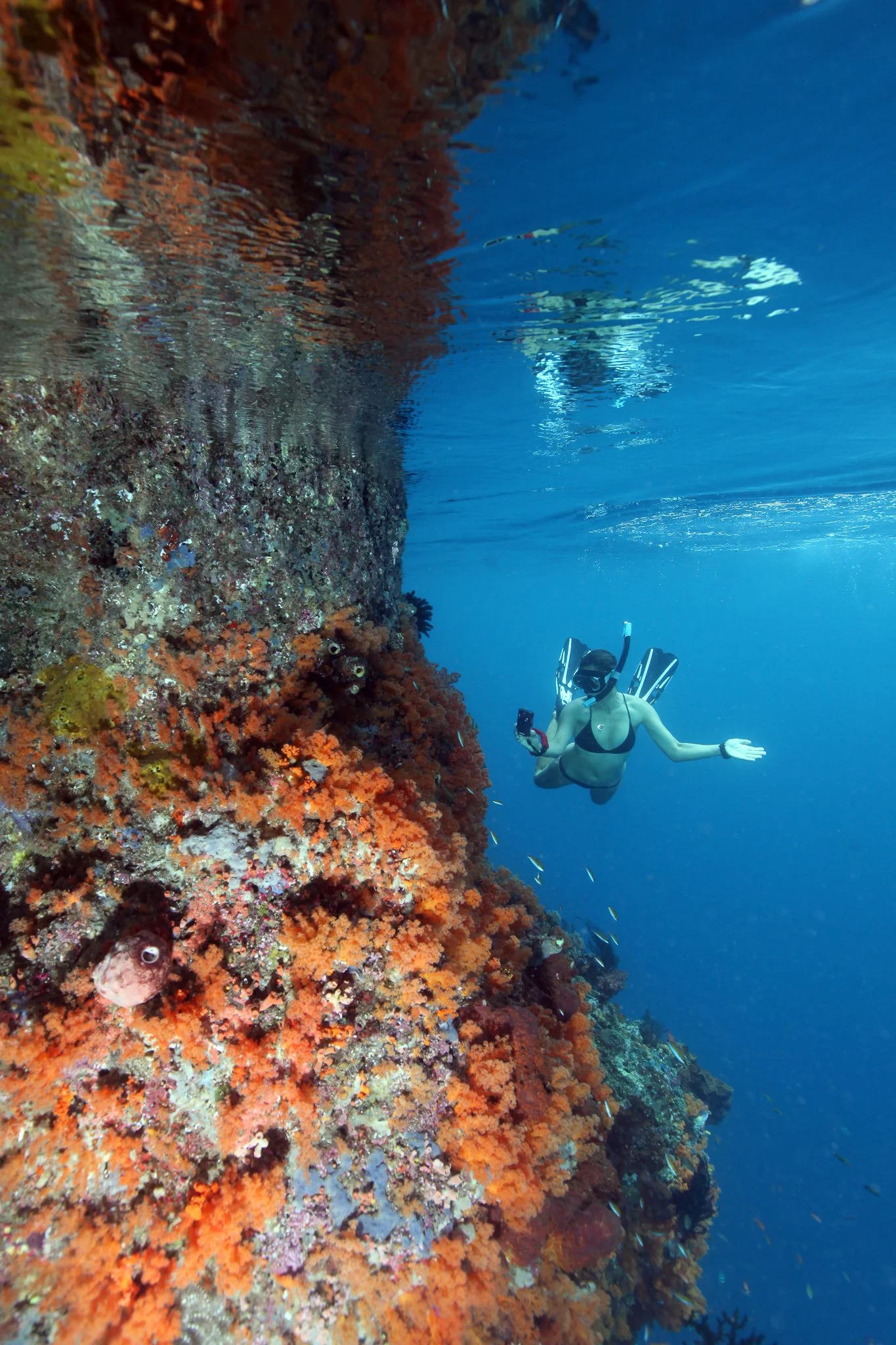 Credit Sabine Templeton (19)-2.jpg