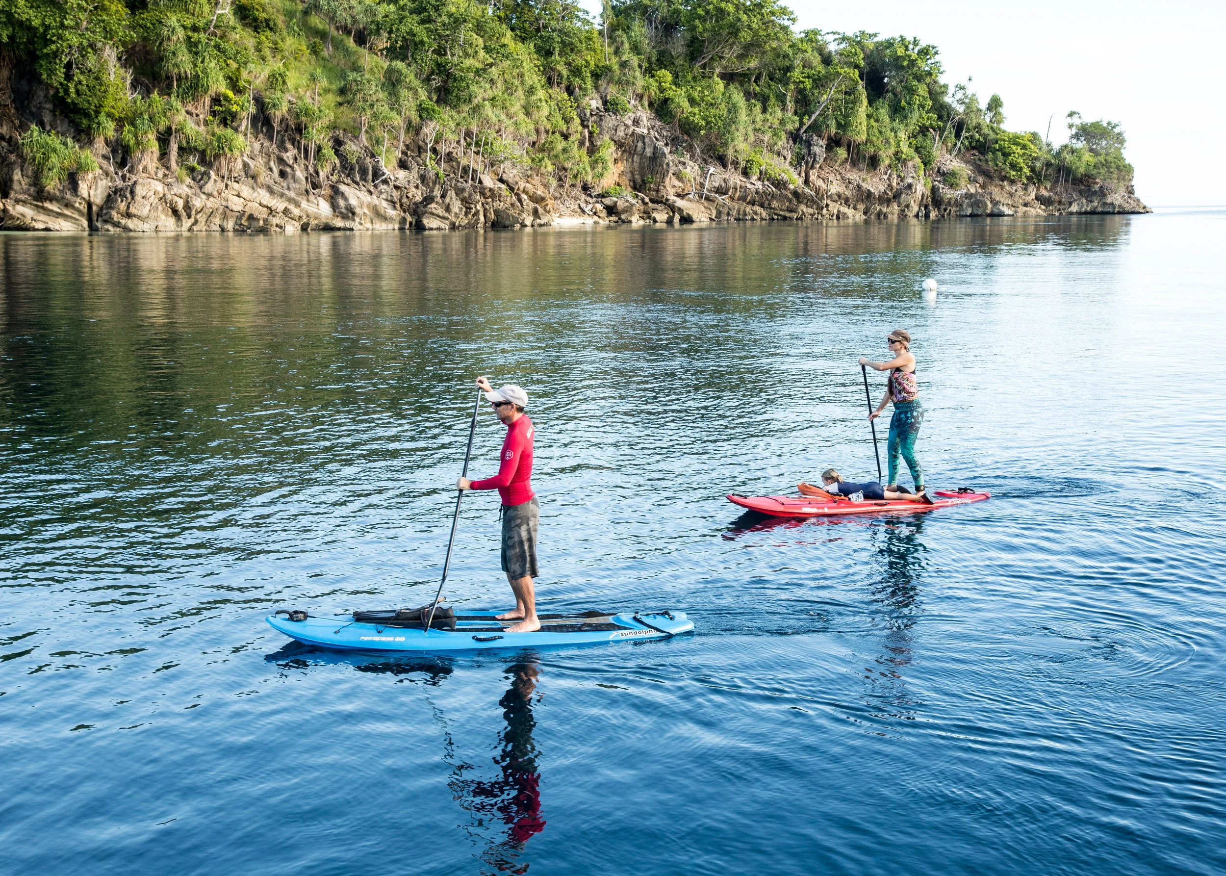 Credit Taro Smith.jpg