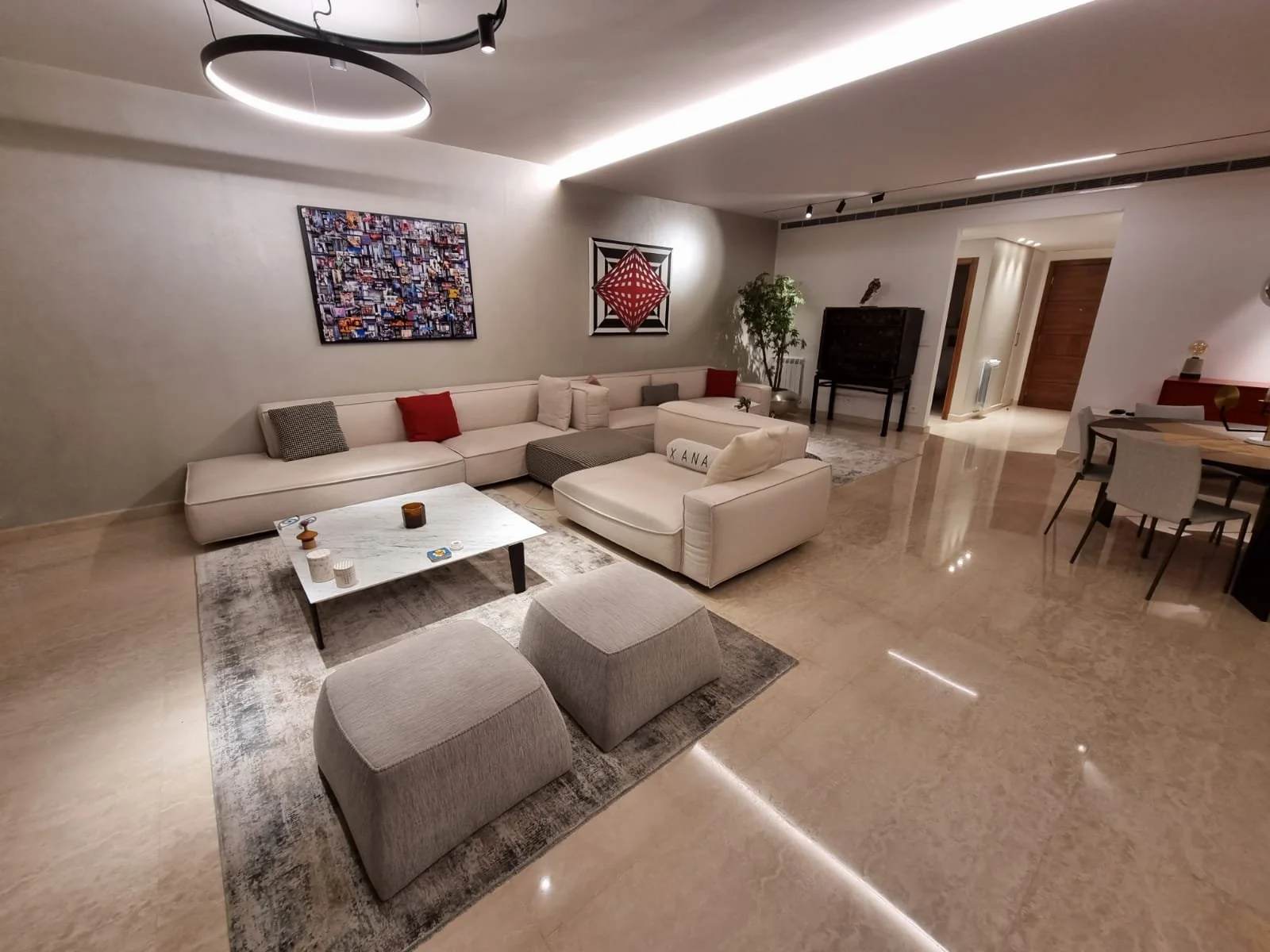 Peinture décorative Cannes – Projet Theo Issa