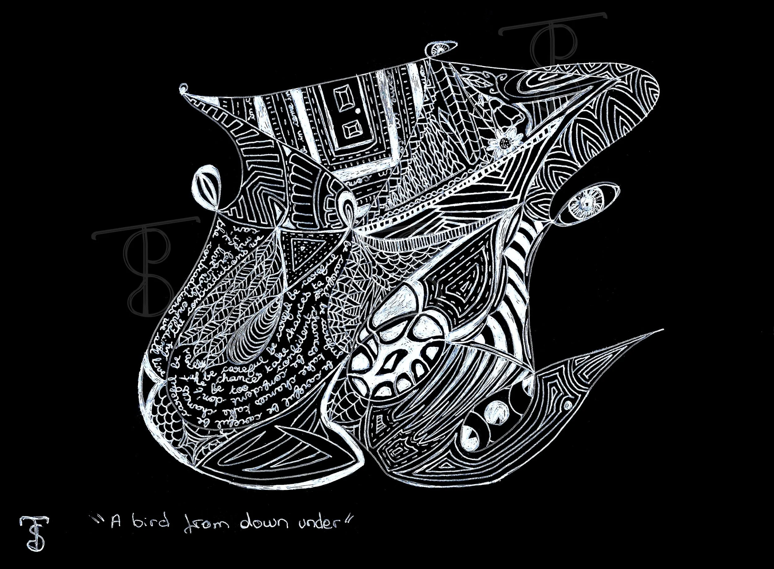 A bird from down under