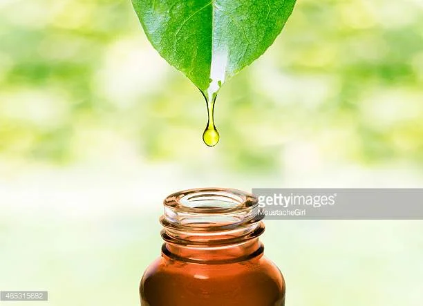 Photo by MoustacheGirl/iStock / Getty Images