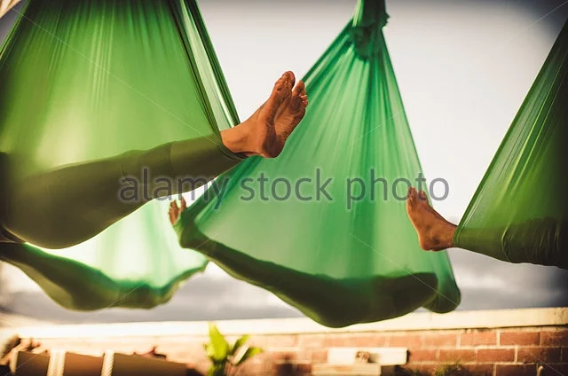 Aerial.jpg