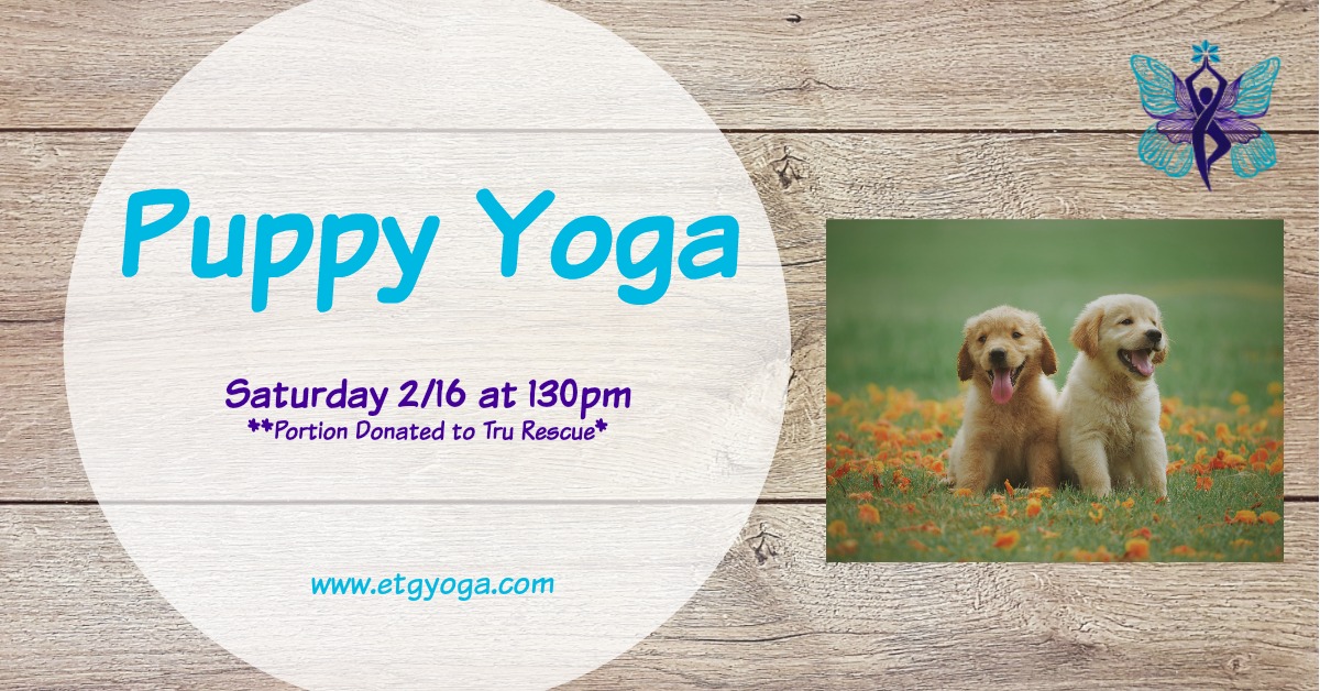 Puppy Yoga 2-16.jpg