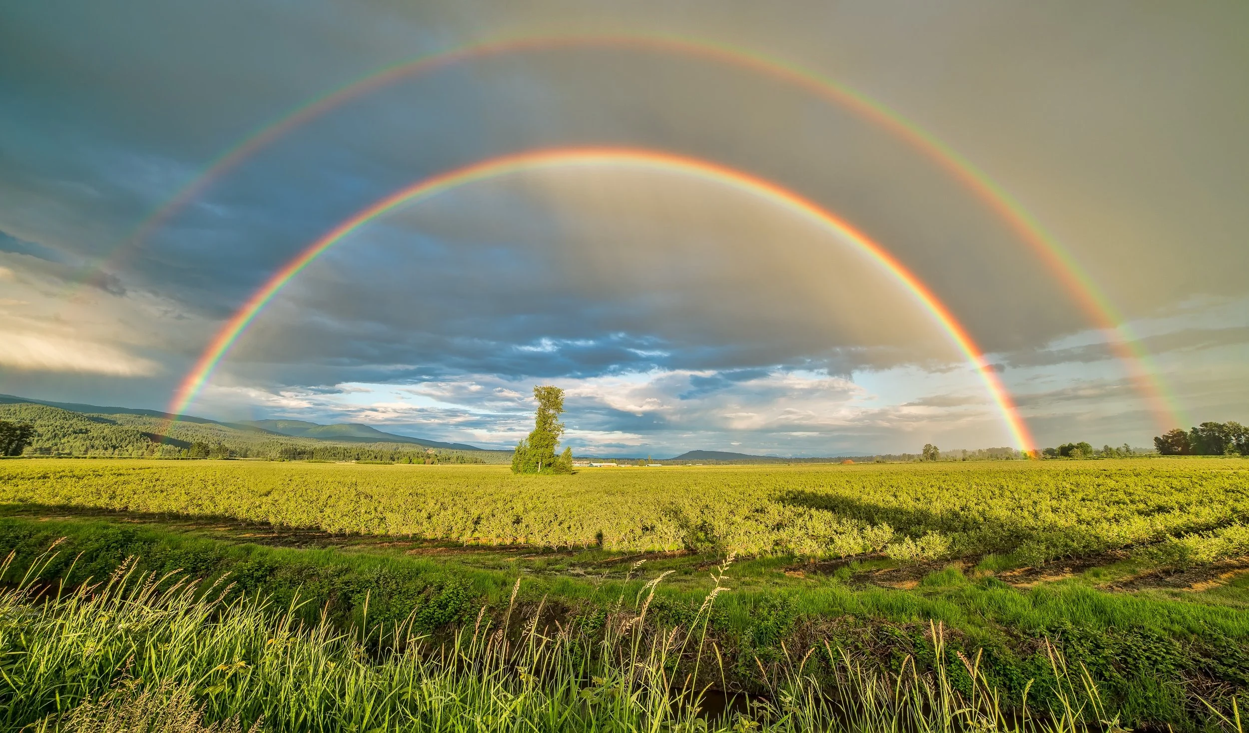 clouds-cloudy-colors-1542495.jpg