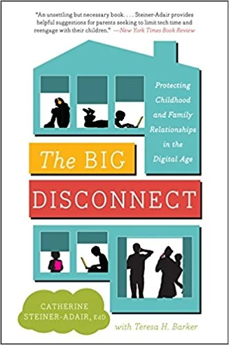 big disconnect.jpg