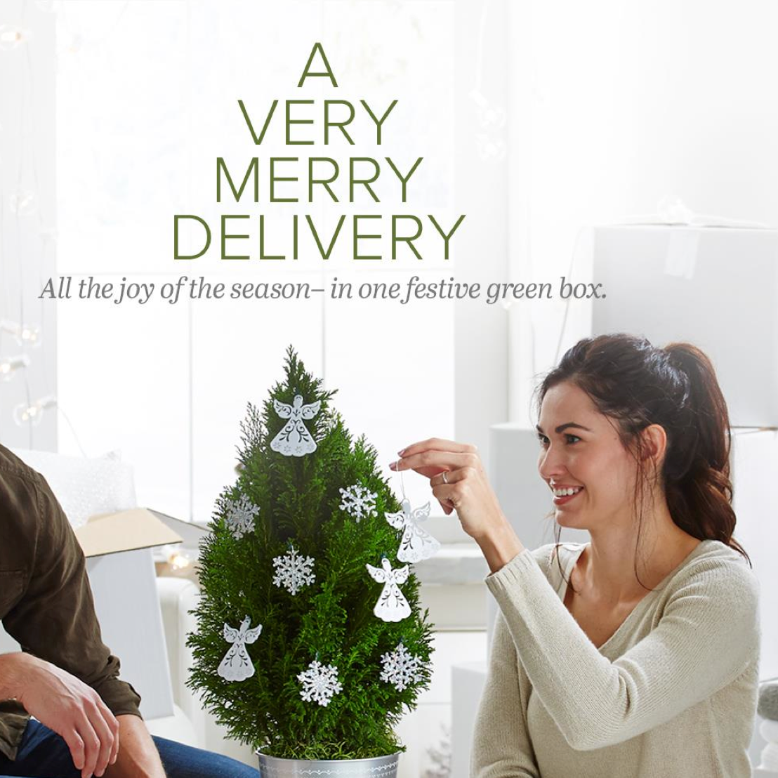 Screen Shot 2015-11-03 at 11.12.13 AM.png