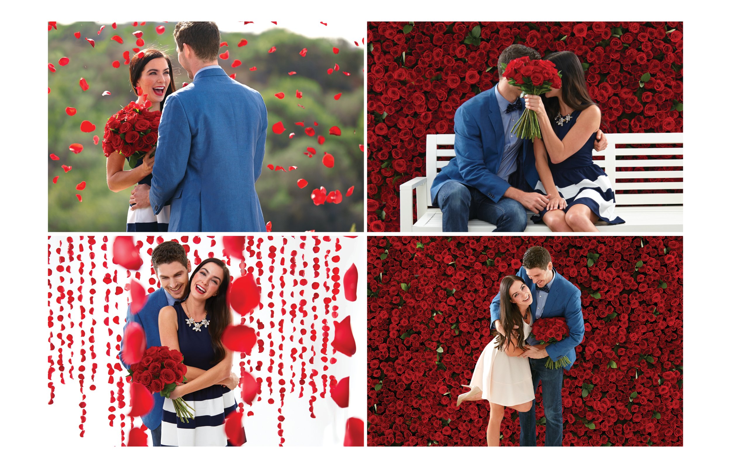 images for website16.jpg