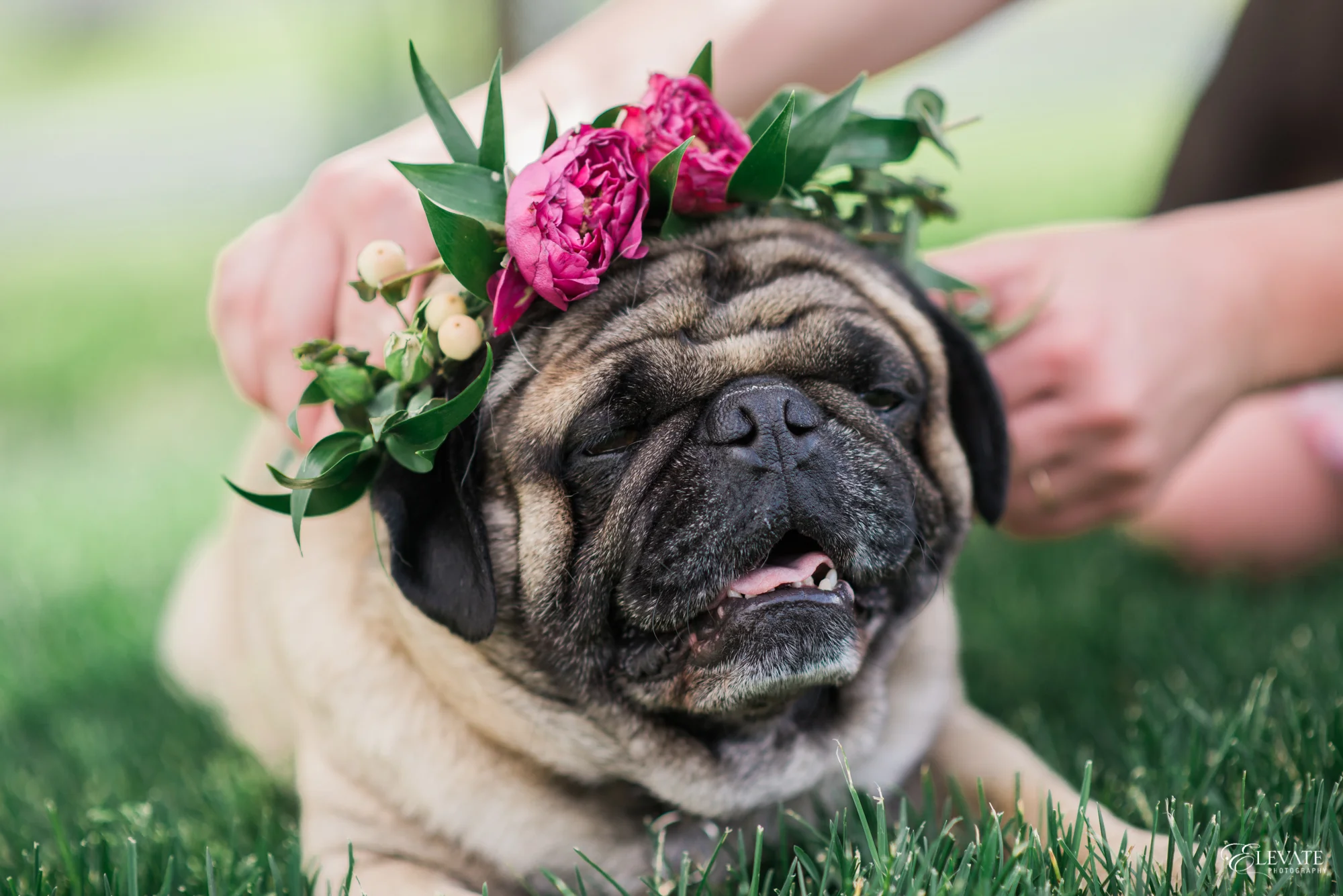 Bridal Collection Style-0145WEB.jpg