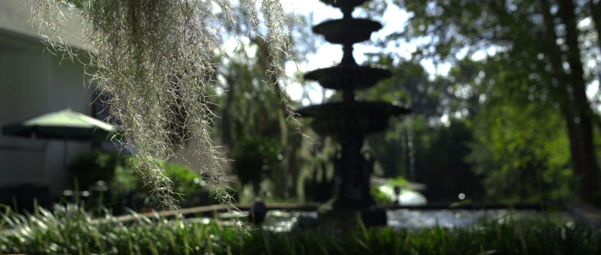 Banner-image-2.jpg