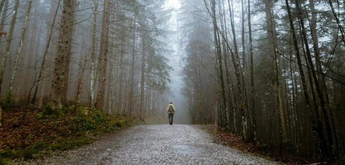 The Path