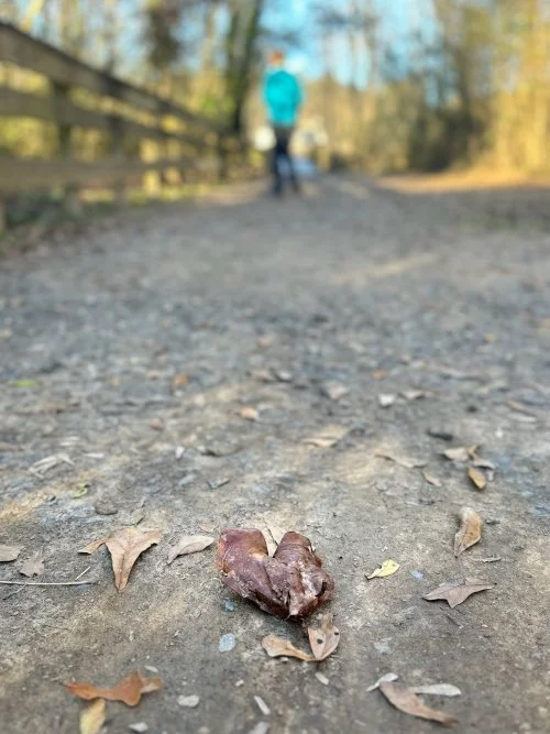 The Path — The Agape Center for Spiritual Formation